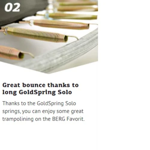 Berg Favorit Grey Trampoline With Safety Net Comfort 330 CM Diameter Large 10FT - Image 4