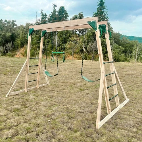 Lifespan Kids Daintree 2 In 1 Monkey Bars And Swing Set - Image 2