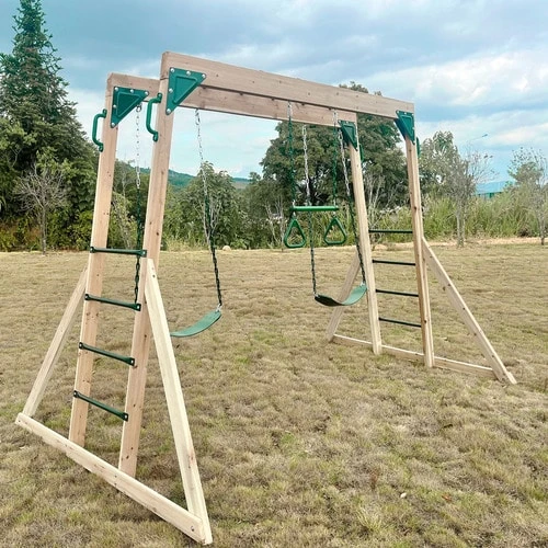 Lifespan Kids Daintree 2 In 1 Monkey Bars And Swing Set - Image 5